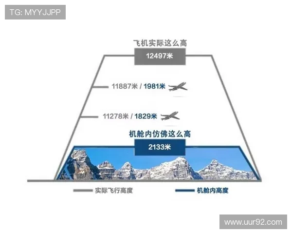 飞机客舱内部空气的流动分布研究